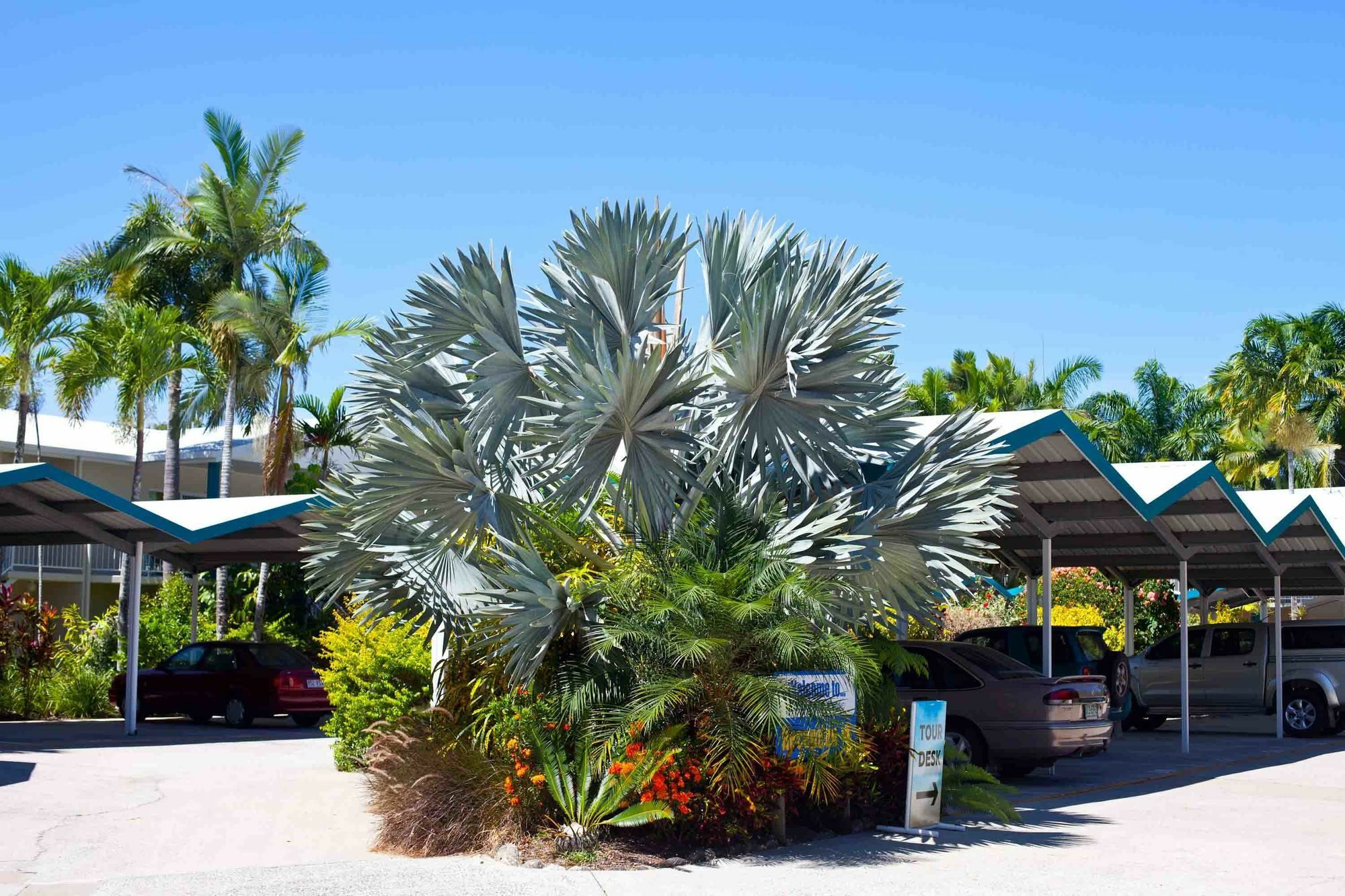 Trinity Beach Pacific Aparthotel Exterior foto