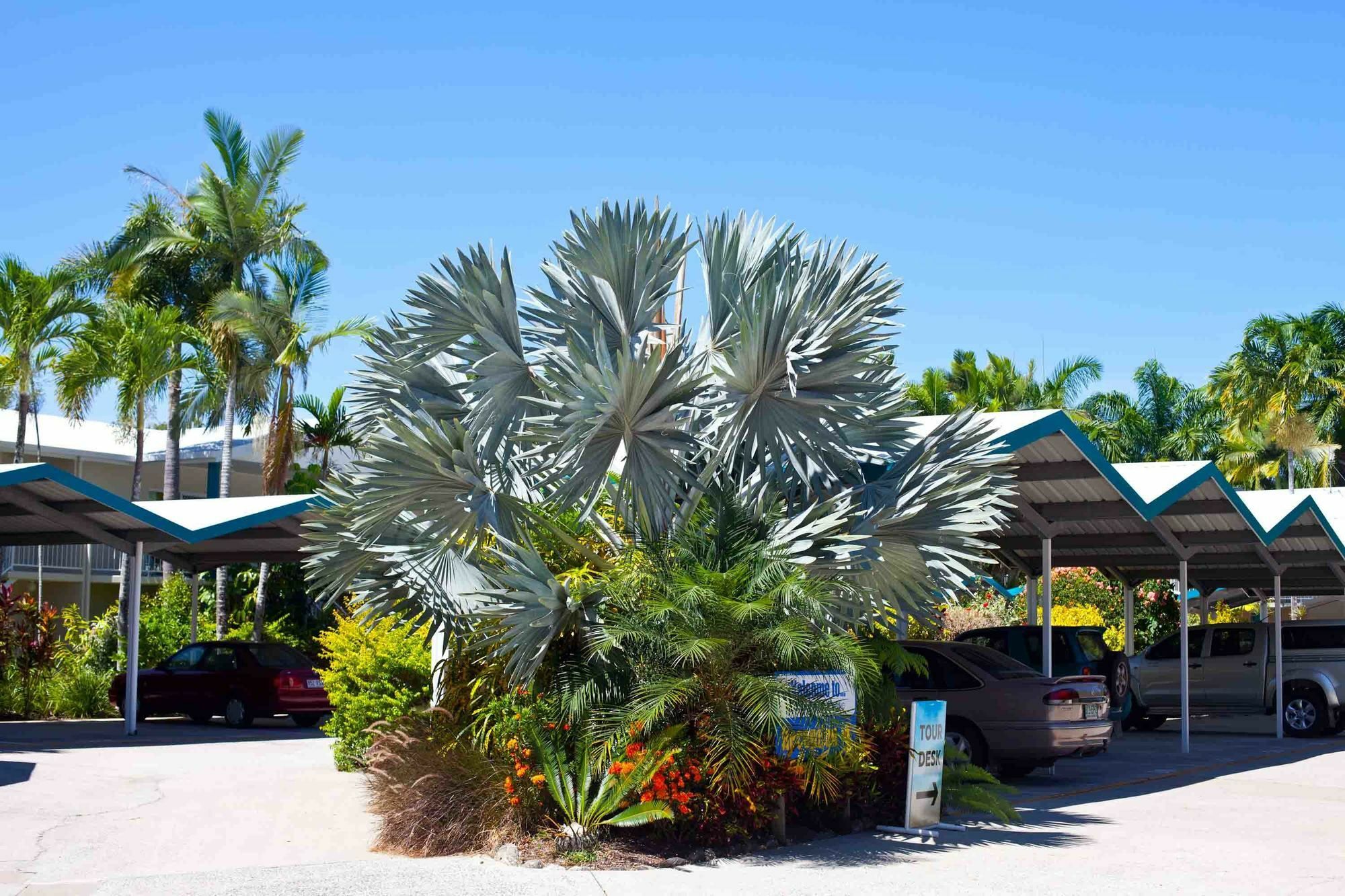 Trinity Beach Pacific Exterior foto